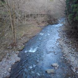 渓流ミノーイング 長良川水系